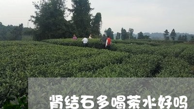 肾结石多喝茶水好吗/2023041603748