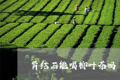 肾结石能喝柳叶茶吗/2023041492926