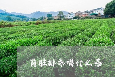 肾脏排毒喝什么茶/2023032301814