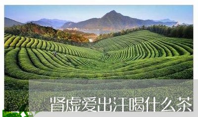 肾虚爱出汗喝什么茶/2023041538169