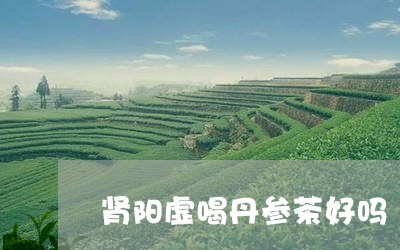 肾阳虚喝丹参茶好吗/2023031817283