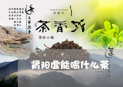 肾阳虚能喝什么茶/2023032372604