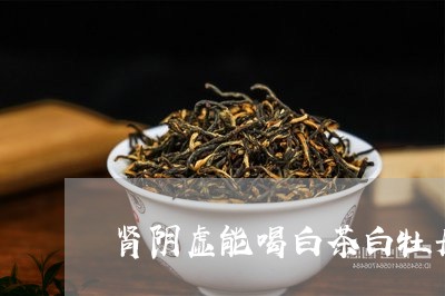 肾阴虚能喝白茶白牡丹茶/2023032825938