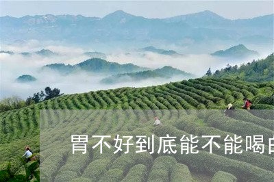 胃不好到底能不能喝白茶/2023032827371