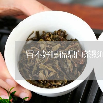 胃不好喝福鼎白茶影响吗/2023032808361