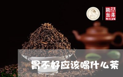 胃不好应该喝什么茶/2023032037261