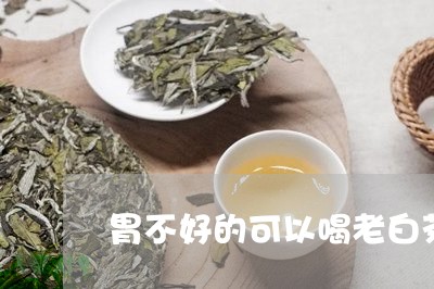 胃不好的可以喝老白茶吗/2023032825258