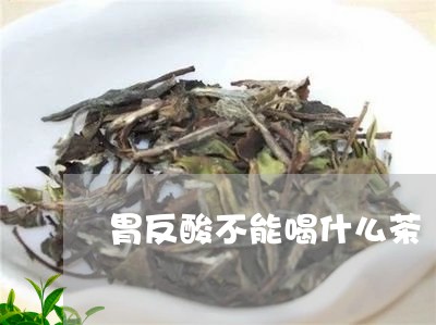 胃反酸不能喝什么茶/2023032059471