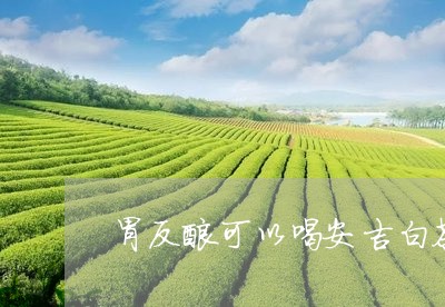 胃反酸可以喝安吉白茶吗/2023032817250