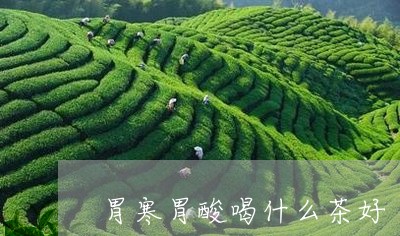 胃寒胃酸喝什么茶好/2023031986037