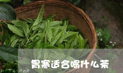 胃寒适合喝什么茶/2023032315260