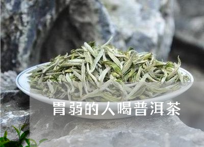 胃弱的人喝普洱茶/2023041183059