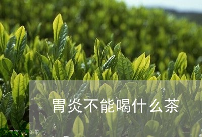 胃炎不能喝什么茶/2023032325168