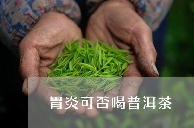 胃炎可否喝普洱茶/2023041045170