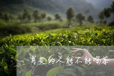 胃炎的人能不能喝茶/2023041666159