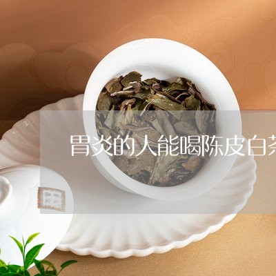 胃炎的人能喝陈皮白茶吗/2023032859269