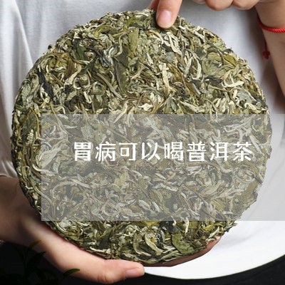 胃病可以喝普洱茶/2023041318592