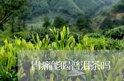 胃痛能喝普洱茶吗/2023041205827