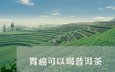 胃癌可以喝普洱茶/2023041000692