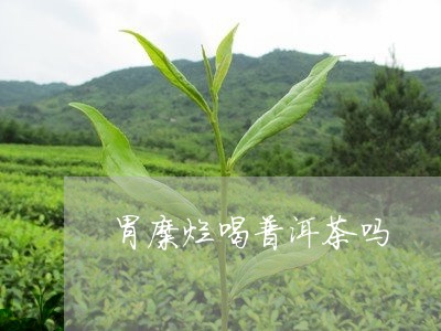 胃糜烂喝普洱茶吗/2023031694815