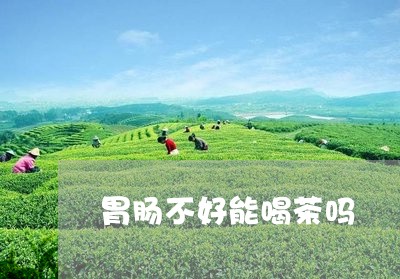 胃肠不好能喝茶吗/2023032554059