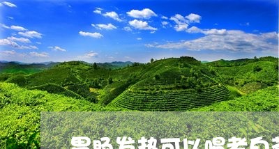 胃肠发热可以喝老白茶吗/2023032856039