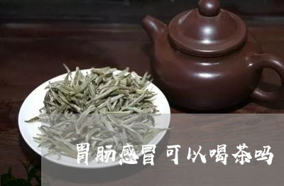 胃肠感冒可以喝茶吗/2023032024937