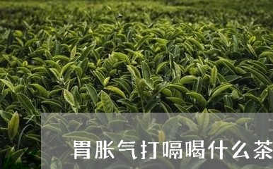 胃胀气打嗝喝什么茶/2023041572927