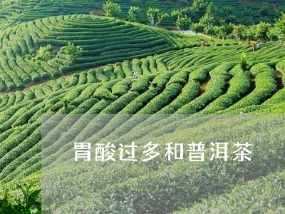 胃酸过多和普洱茶/2023033134936