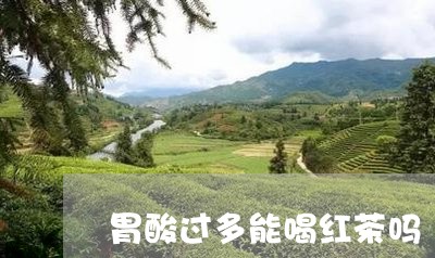 胃酸过多能喝红茶吗/2023041538269