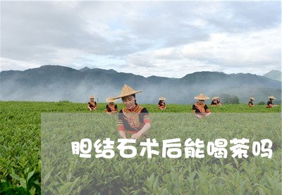 胆结石术后能喝茶吗/2023041600381