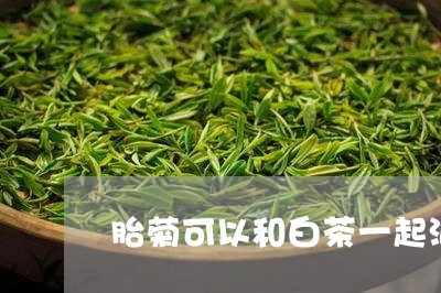 胎菊可以和白茶一起泡吗/2023032868272