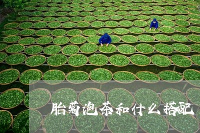 胎菊泡茶和什么搭配/2023032060716