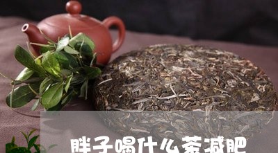 胖子喝什么茶减肥/2023032398492