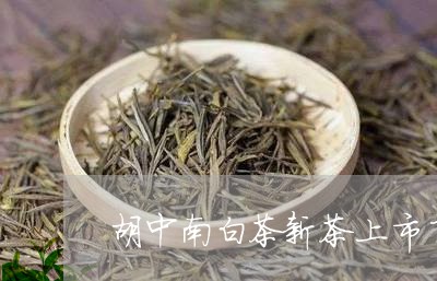 胡中南白茶新茶上市了吗/2023032889482