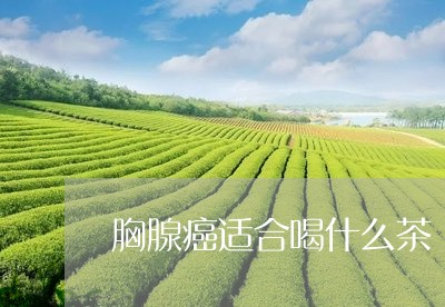 胸腺癌适合喝什么茶/2023041594260