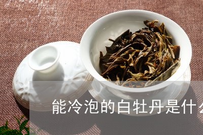 能冷泡的白牡丹是什么茶/2023032793928