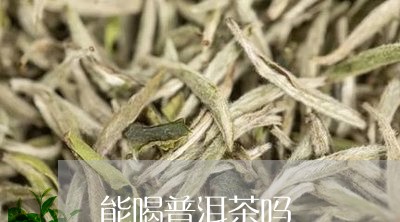 能喝普洱茶吗/2023031786958