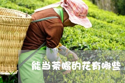 能当茶喝的花有哪些/2023041576158