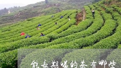 能长期喝的茶有哪些/2023032025181