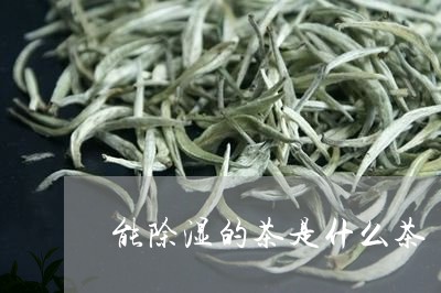 能除湿的茶是什么茶/2023041536161