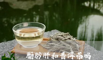 脂肪肝和普洱茶吗/2023041131703