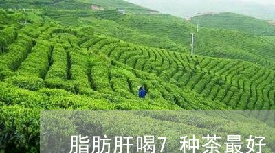 脂肪肝喝7种茶最好/2023041543625