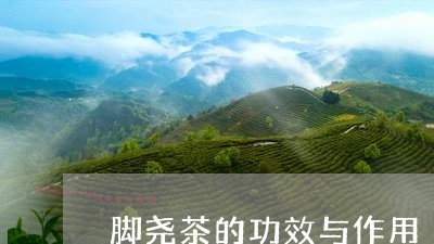 脚尧茶的功效与作用/2023032111794