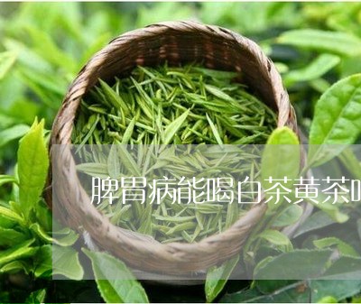 脾胃病能喝白茶黄茶吗吗/2023032783815