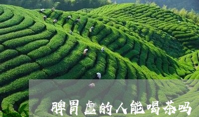 脾胃虚的人能喝茶吗/2023041629480