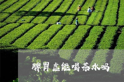 脾胃虚能喝茶水吗/2023032532715