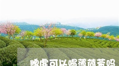 脾虚可以喝薄荷茶吗/2023041498169