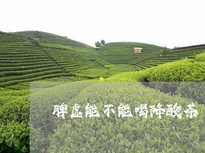 脾虚能不能喝降酸茶/2023041420494