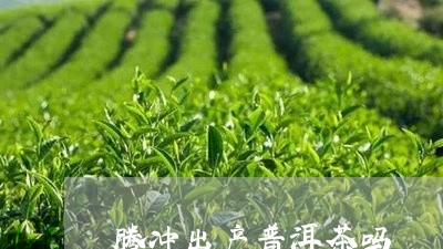 腾冲出产普洱茶吗/2023041312815